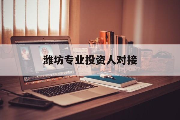 锡林浩特市潍坊专业投资人对接(潍坊专业投资人对接中心)