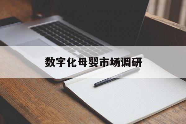 锡林浩特市数字化母婴市场调研(数字化母婴市场调研报告)